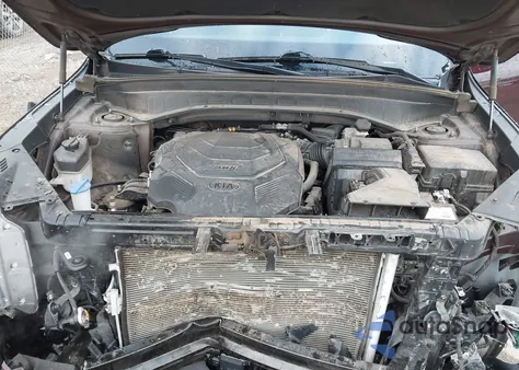 2021 Kia Telluride S from USA, damaged, VIN 5XYP6DHCXMG158414